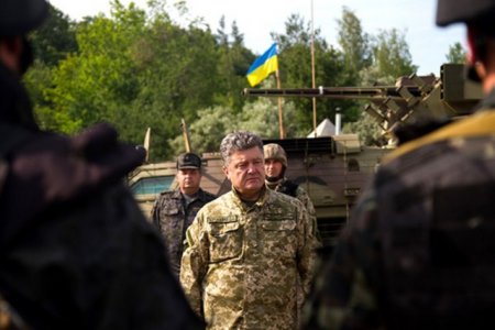 Порошенко обещает бойцам "Беркута" и "Альфы" амнистию в обмен на участие в братоубийственной войне