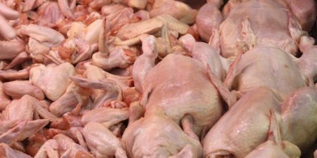 Россия не пропустила в Калининградскую область 20 тонн польской курятины