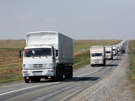 Лавров: в ближайшие дни на Донбасс может отправиться второй гум. конвой