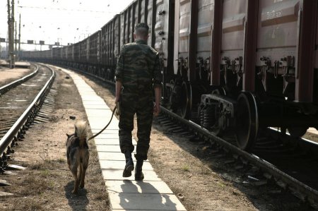 Российский пограничник погиб от взрыва неизвестного устройства на границе с Украиной