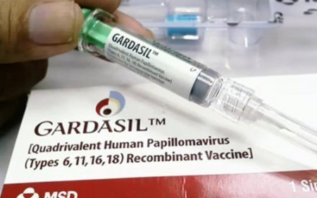 Прививка Гардасил