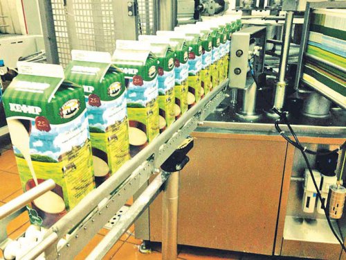 Рыбинский молочный завод — продукция нового цеха завоевывает рынки