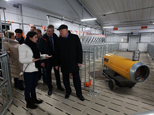 В Нижегородской области начал работу новый свинокомплекс