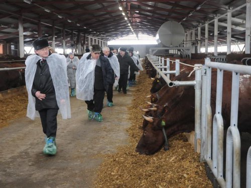 В Омской области открыт обновленный животноводческий комплекс ЗАО «Азовское»
