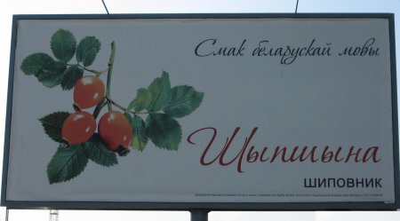 250 дней в Белоруссии или как я стал миллионером…записки "украинофоба"