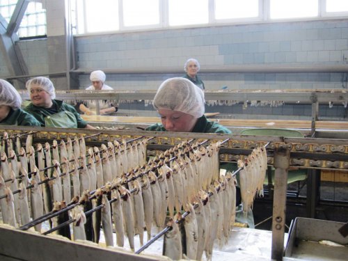 В Калининградской области открылась модернизированная линия по производству шпрот