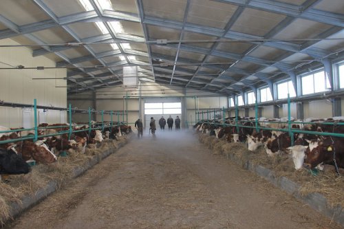 В Томской области открылась семейная молочная ферма