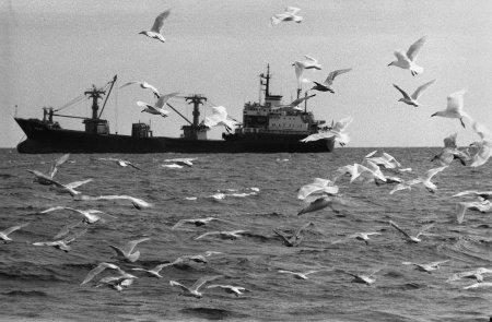 Крушение траулера «Дальний Восток» в Охотском море — хронология событий