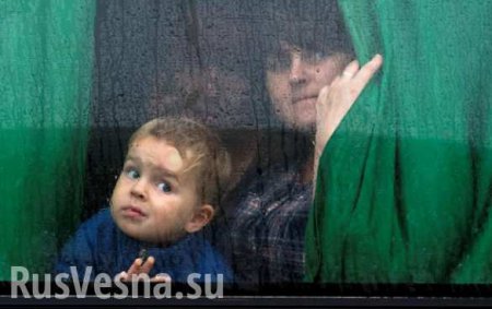 Власти Финляндии хотят депортировать в Киев семью ополченца ДНР