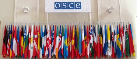 55 делегатов Ассамблеи ОБСЕ осудили исключение РФ из числа участников