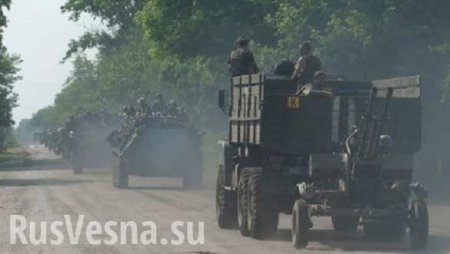 Ополчение ДНР отвело от линии соприкосновения 41 танк и 84 БМП, — Басурин