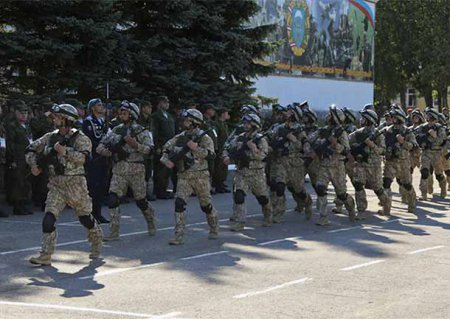 Страны ОДКБ начали масштабные совместные учения в Псковской области
