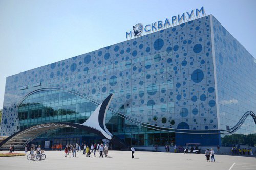 Центр океанографии и морской биологии «Москвариум» открывается на ВДНХ