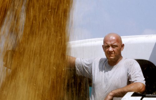 Аграрии Крыма собрали 1,4 млн тонн зерна — почти в два раза больше потребности