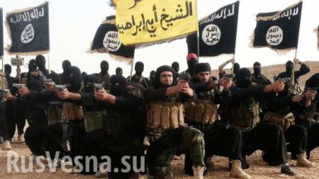 ИГИЛовцы расстреляли демонстрацию своих «побратимов» в сирийском городе Дамир