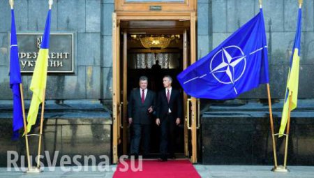 Украина и НАТО подписали дорожную карту по оборонному сотрудничеству