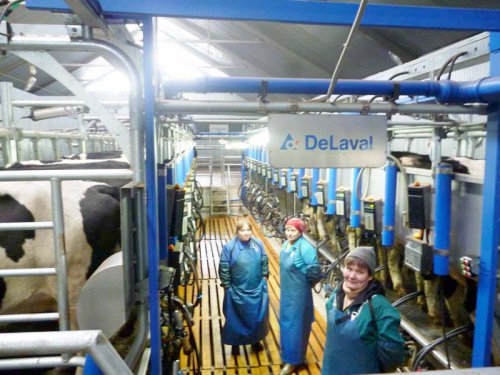 В Рязанской области завершено строительство животноводческого комплекса на 900 коров