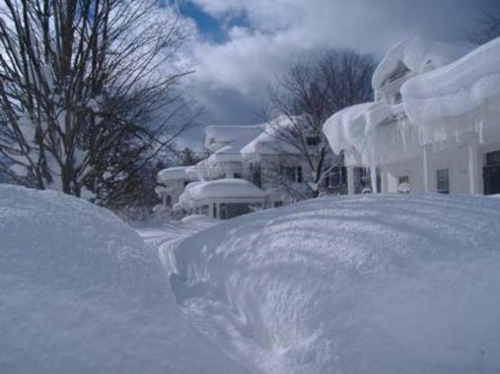 В канадской столице выпало рекордное за 70 лет количество снега