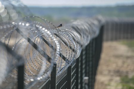 На границе между Россией и Латвией может вырасти стена стоимостью в 17 млн евро