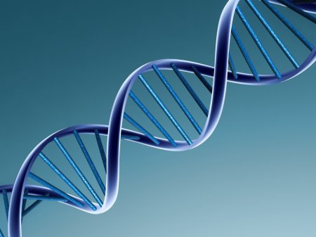 Ученые: Наношприц позволит вводить ДНК в живые клетки