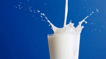 Ученые: Проблемы климата можно решить с сокращением потребления молока