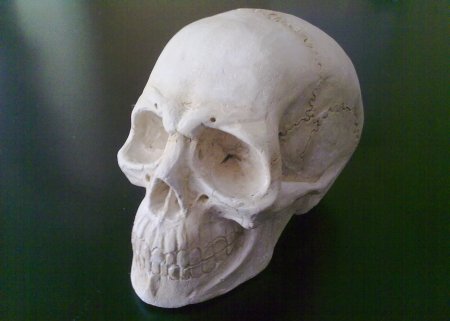 Учёные из Уфы воссоздадут облик жрицы по найденному в "Аркаиме" черепу