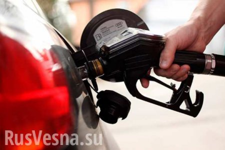 На болгарских автозаправках торгуют бензином, купленным у ИГИЛ