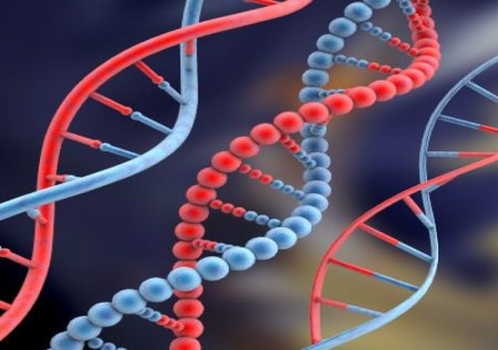 Ученые: Остатки давних вирусов в ДНК человека защищают организм от заболеваний