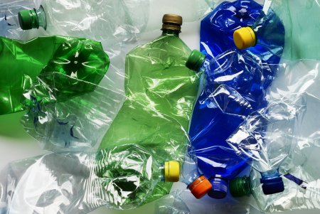 В Японии обнаружена пожирающая неразлагающийся пластик бактерия