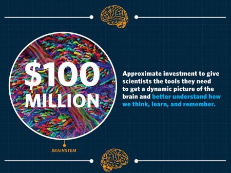 США выделят 100 миллионов долларов на изучение мозга