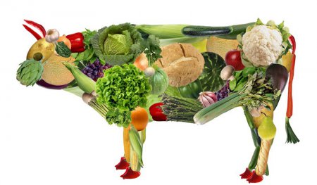 Ученые: Вегетарианство опасно для здоровья