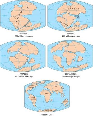 Учёные выяснили, когда соединялись древние континенты