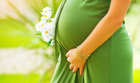 Ожирение при беременности может ухудшить фертильность потомства - Учёные