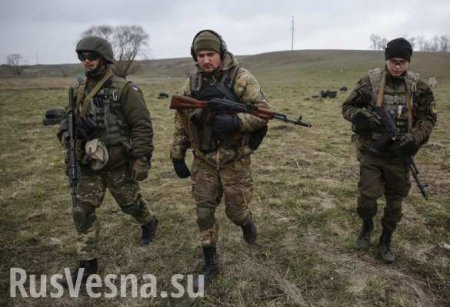Боевики «Азова» прибыли в Степановку на юге Донбасса для «зачистки» местного населения, — разведка ДНР