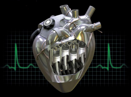 Во Владимирском университете к 2017 году создадут искусственное сердце