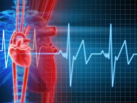Ученые МФТИ научились управлять сердцебиением при помощи ультрафиолетового лазера