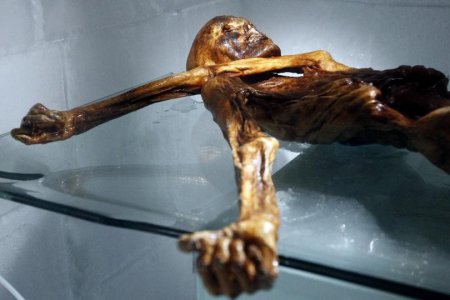 Представлена трехмерная модель мумии ледяного человека Эци