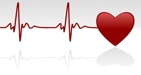 Ученые объяснили, почему человек не слышит собственного сердцебиения