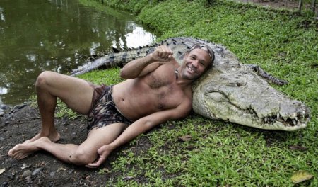 Учёные: Крокодилы могут вылечить мужское бесплодие