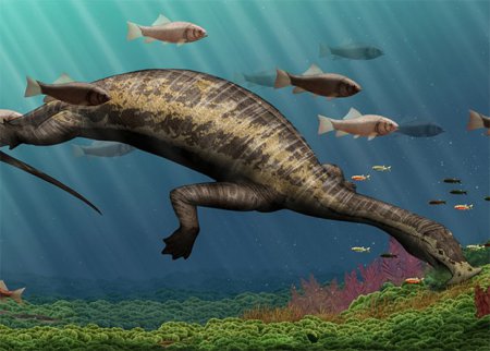 Ученые: В КНР обнаружены останки первого в истории травоядного подводного динозавра