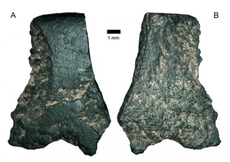 Самый древний топор нашли учёные-археологи в Австралии