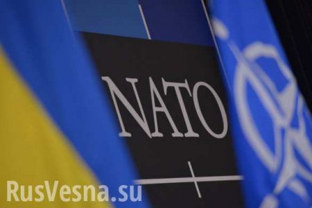 Стремление Украины вступить в НАТО говорит о ее бессилии — Народная милиция ЛНР