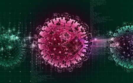 Ученые: Связь между гриппом во время беременности и шизофренией существует