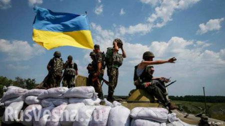 Киев усилил свои огневые позиции на Донбассе минометами крупных калибров и САУ 
