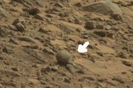 На Марсе уфологи обнаружили череп йети