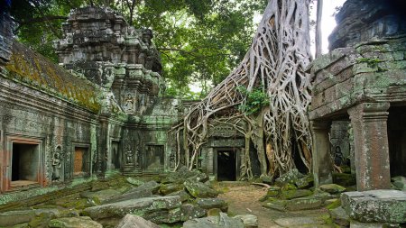 В Камбодже среди джунглей обнаружили новые города империи кхмеров