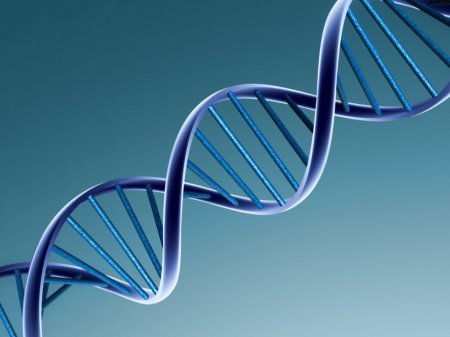 Американские ученые разработали чип, который позволит обнаружить мутации в ДНК