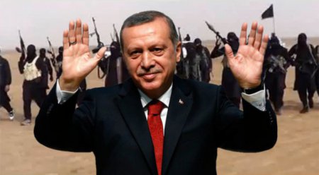 Не дать превратиться Турции в новый ИГИЛ. Александр Ростовцев