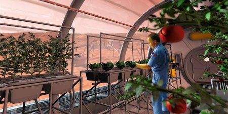 Ученые: Выращенные на Марсе овощи безопасны для человека