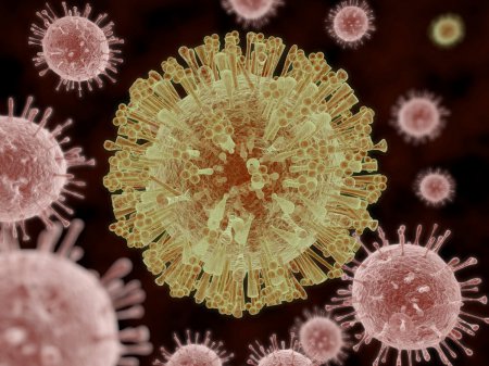 Ученые создали вакцину против вируса Зика